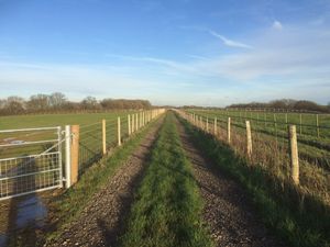 Photo 2- click for photo gallery